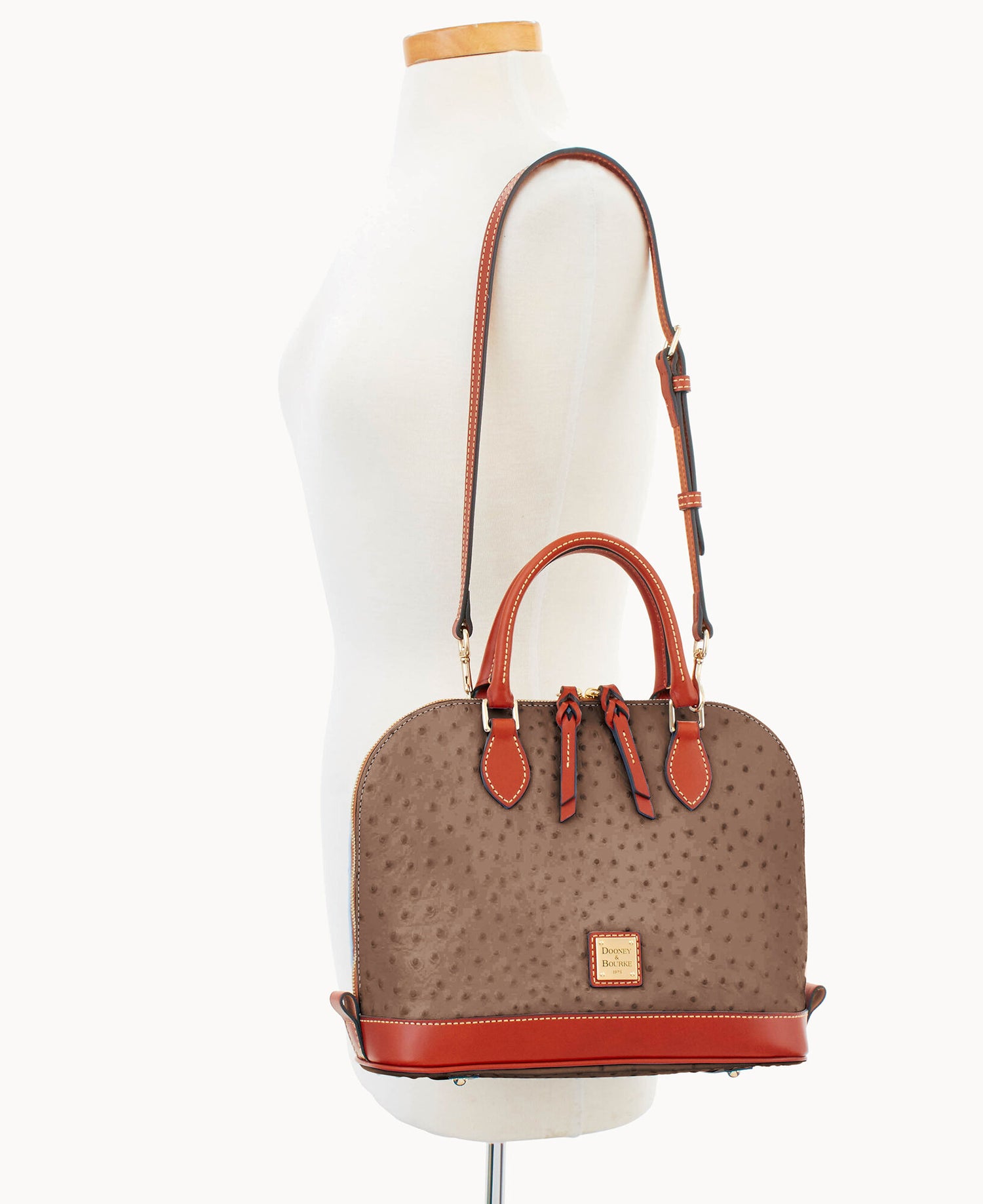 B2343G_OTELPATN_ALT4